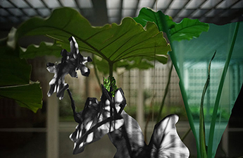 Caio Reisewitz (1967)