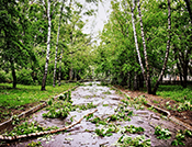 From transition to resilience: why climate adaptation is rising up the agenda