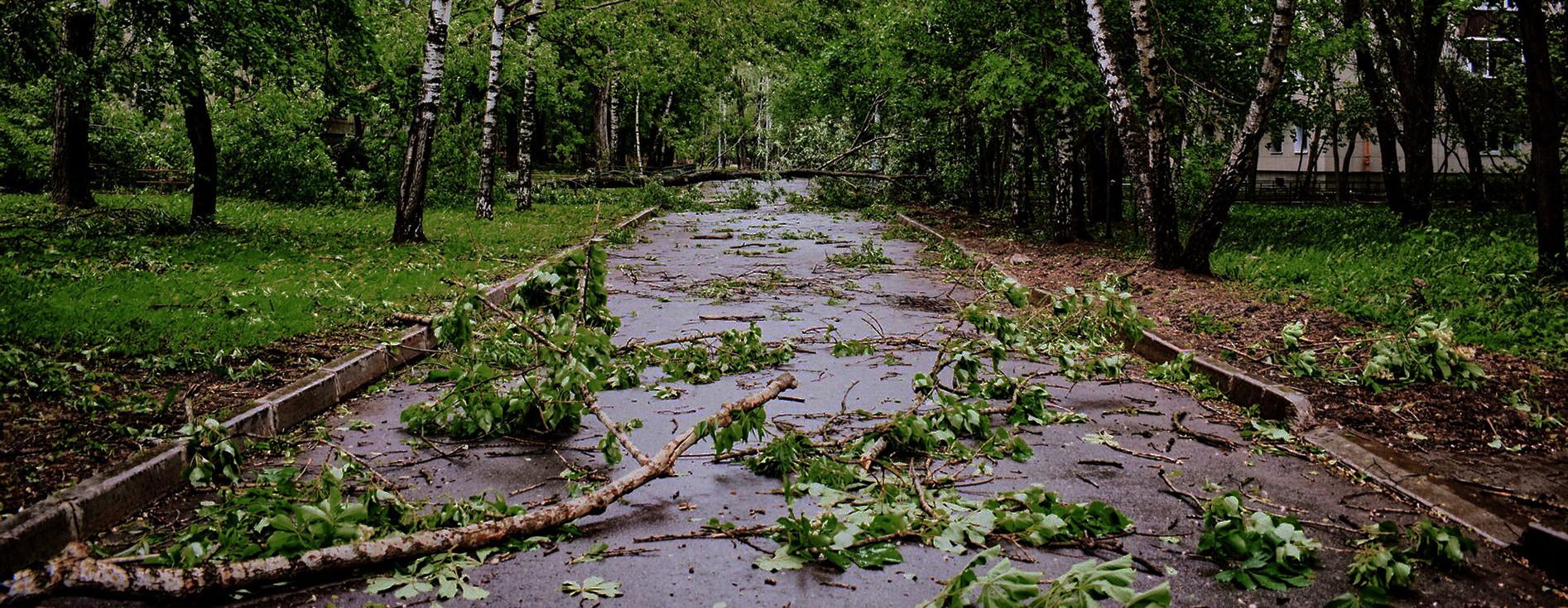 From transition to resilience: why climate adaptation is rising up the agenda