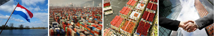 Dutch exports