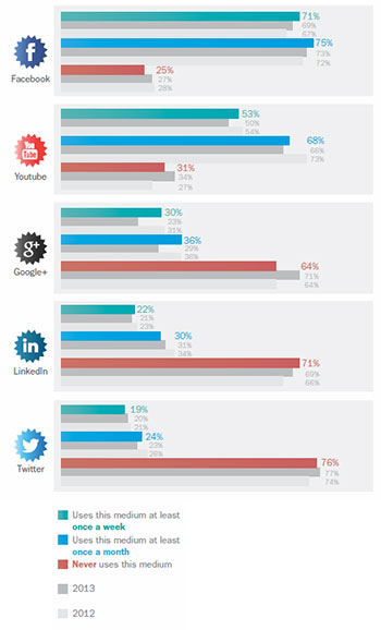 Use of social media stagnating